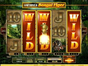 Untamed Bengal Tiger