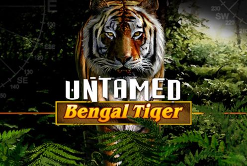A Journey from African Safari to Virtual Tigers