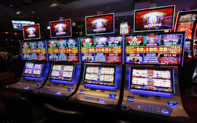 Spin and Win with Dolphin Tale and Star Watch Jungle Slots